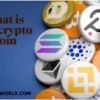 What is the Crypto Coin? A Comprehensive Guide to Understanding Digital Currency